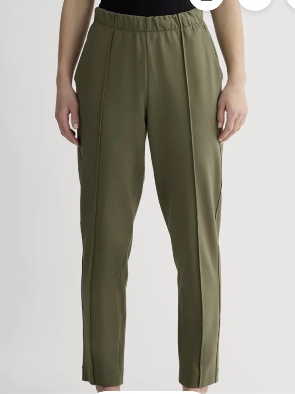 Everlane Olive Green Pleated Front Seam Dream Pants
